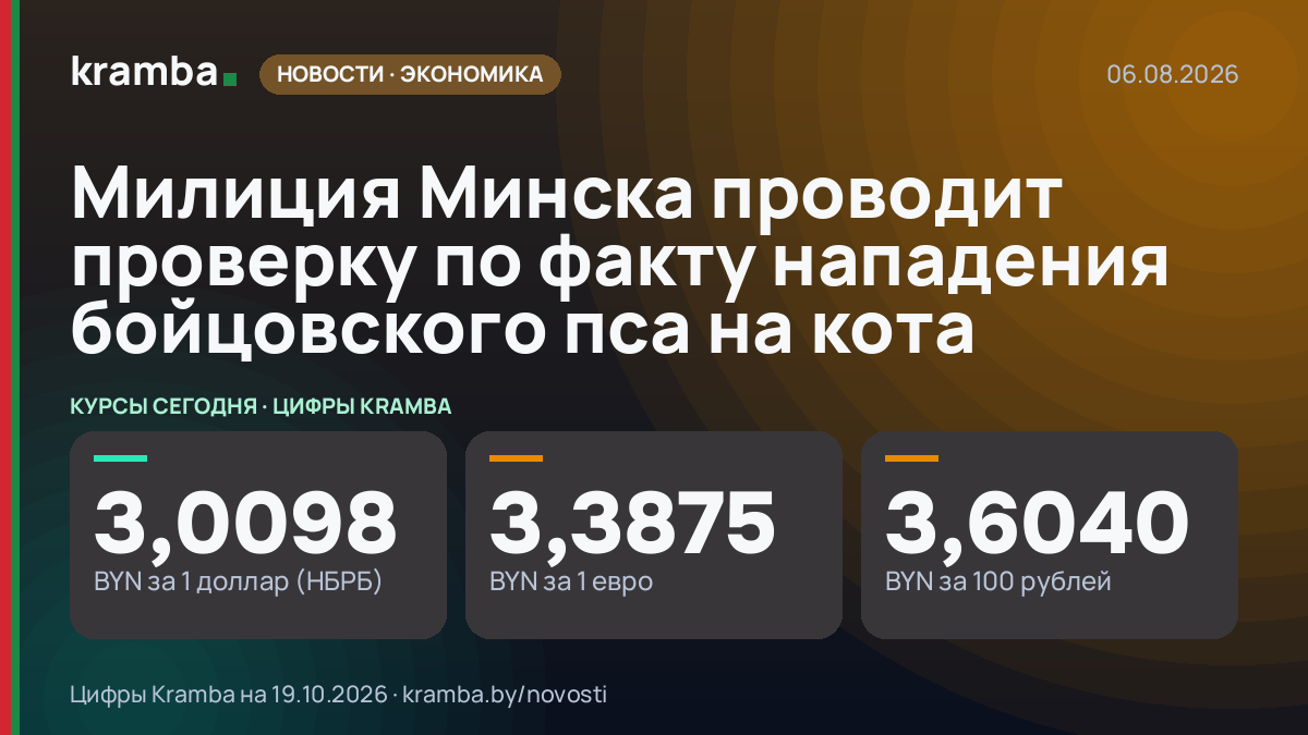 Инфографика Kramba: Милиция Минска проводит проверку по факту нападения бойцовского пса на кота