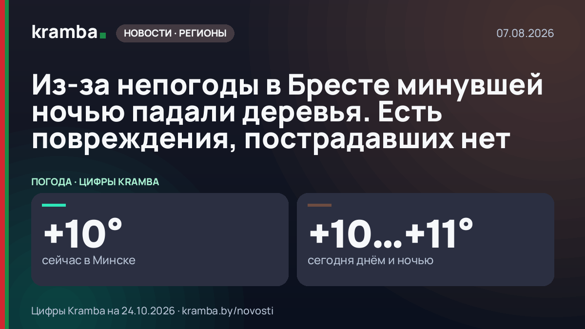 Инфографика Kramba: Из-за непогоды в Бресте минувшей ночью падали деревья. Есть повреждения, пострадавших нет