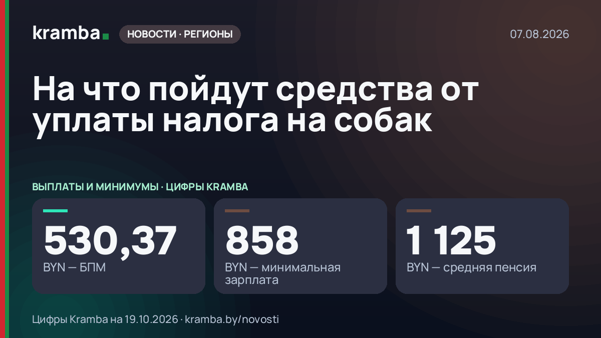 Инфографика Kramba: На что пойдут средства от уплаты налога на собак
