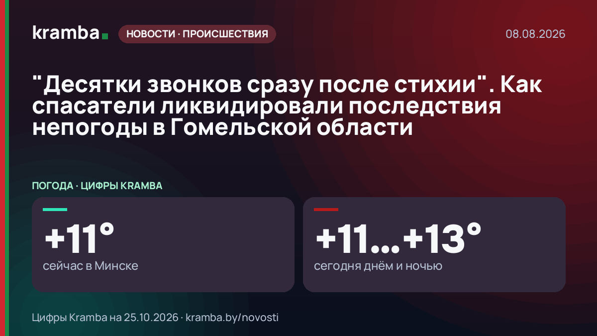Инфографика Kramba: "Десятки звонков сразу после стихии". Как спасатели ликвидировали последствия непогоды в…