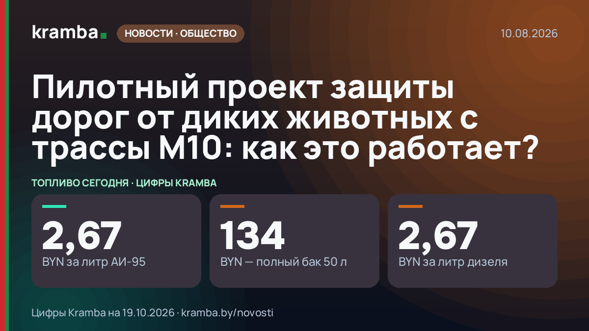 Инфографика Kramba: Пилотный проект защиты дорог от диких животных с трассы М10: как это работает?