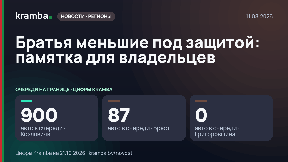 Инфографика Kramba: Братья меньшие под защитой: памятка для владельцев