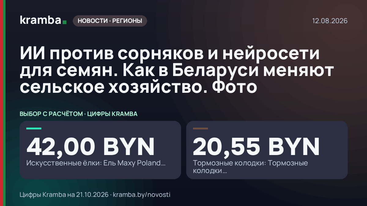 Инфографика Kramba: ИИ против сорняков и нейросети для семян. Как в Беларуси меняют сельское хозяйство. Фото