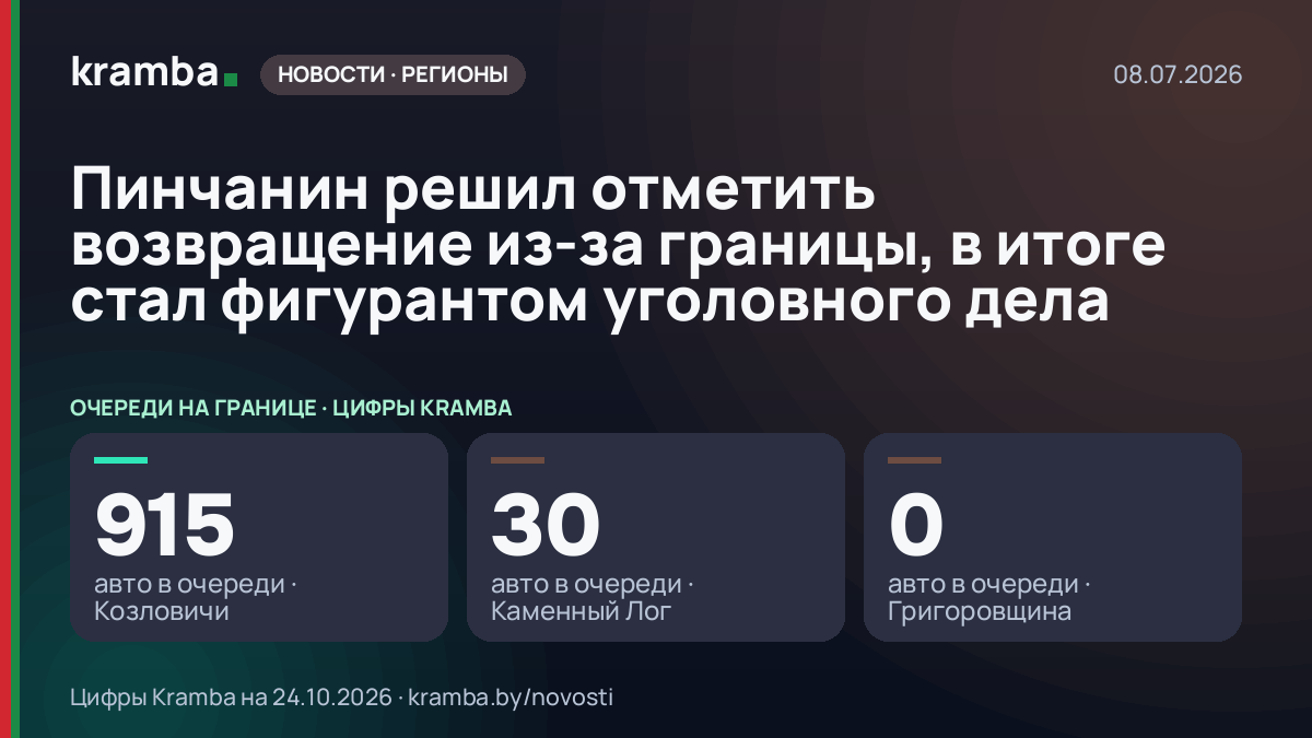 Инфографика Kramba: Пинчанин решил отметить возвращение из-за границы, в итоге стал фигурантом уголовного дела