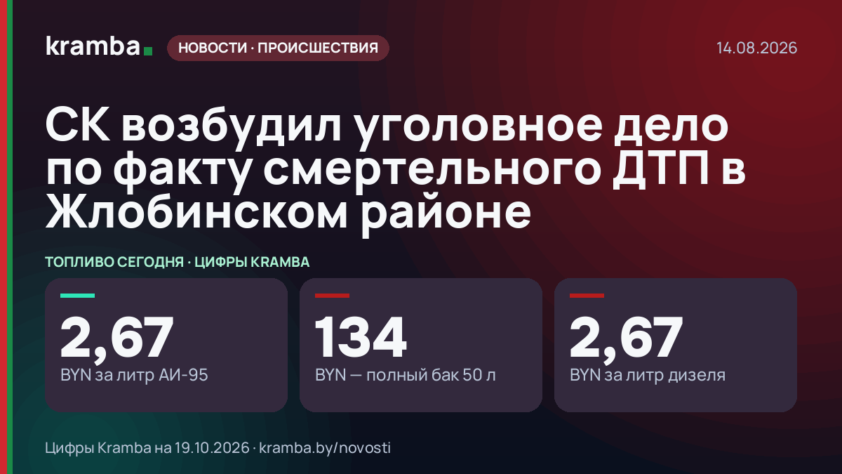 Инфографика Kramba: СК возбудил уголовное дело по факту смертельного ДТП в Жлобинском районе