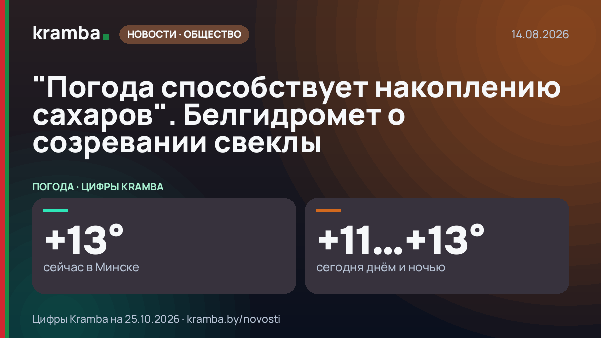 Инфографика Kramba: "Погода способствует накоплению сахаров". Белгидромет о созревании свеклы
