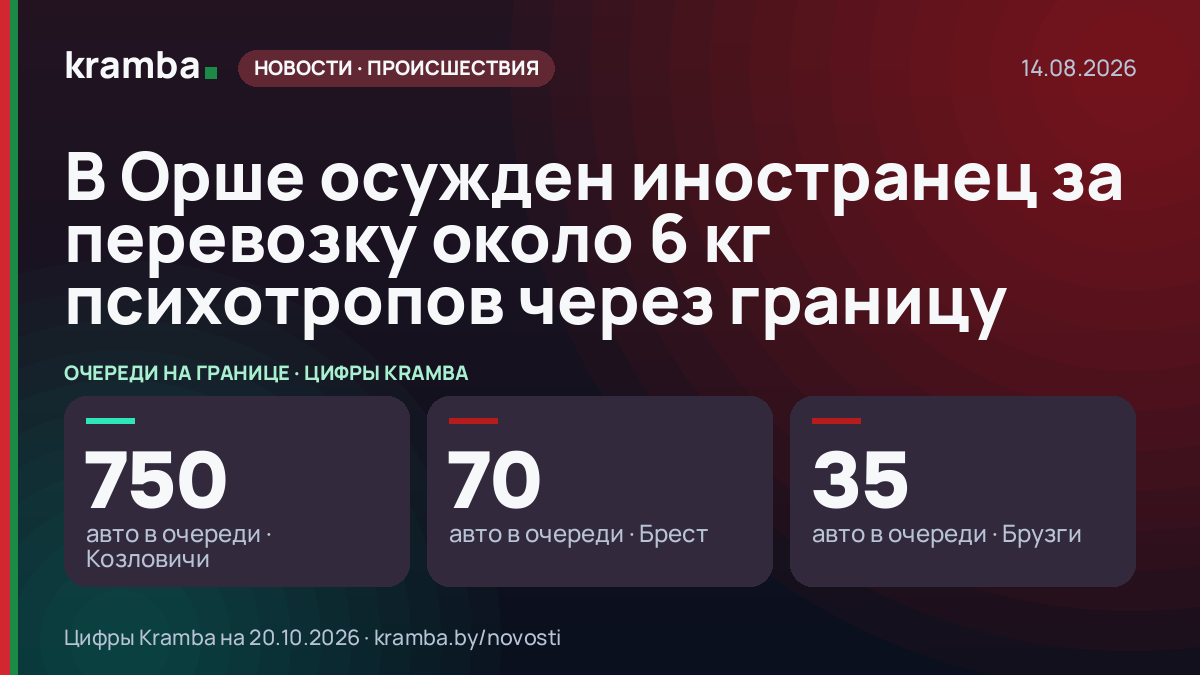 Инфографика Kramba: В Орше осужден иностранец за перевозку около 6 кг психотропов через границу