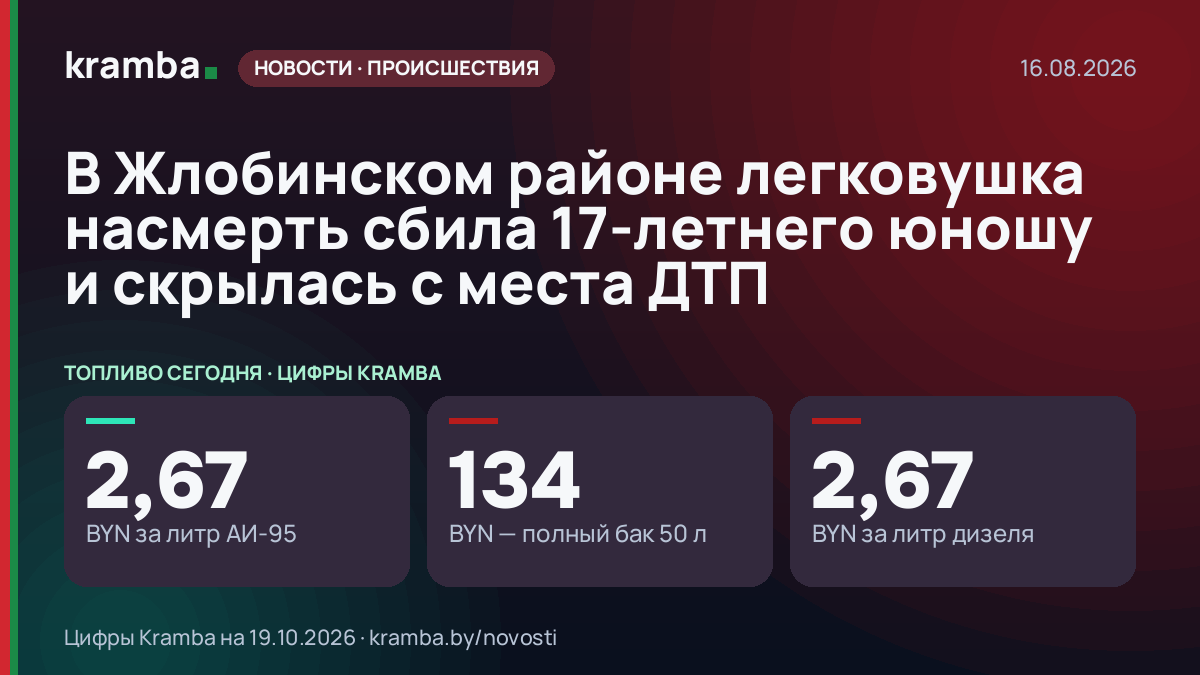 Инфографика Kramba: В Жлобинском районе легковушка насмерть сбила 17-летнего юношу и скрылась с места ДТП