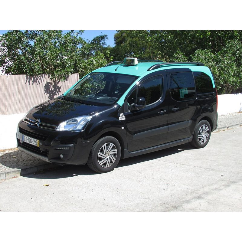 Citroën Berlingo II (B9)
