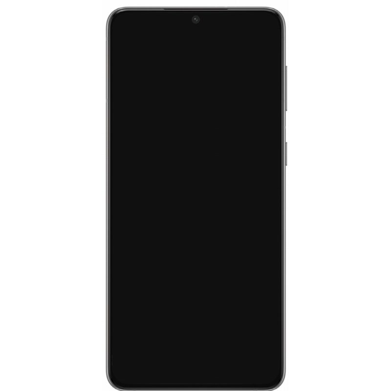 Galaxy S21 FE Galaxy S21 FE