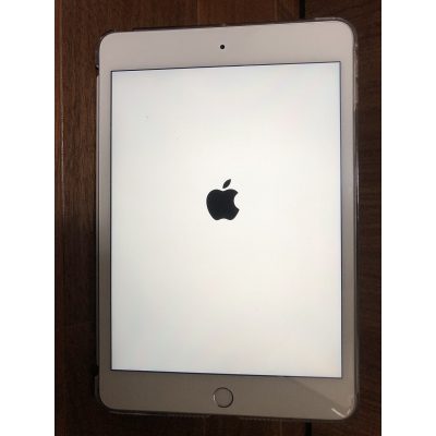 iPad mini 5
