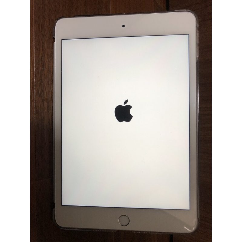 iPad mini 5