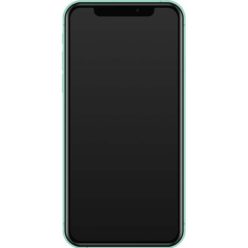 iPhone 11 iPhone 11