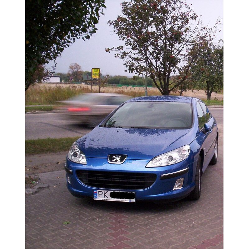 Peugeot 407